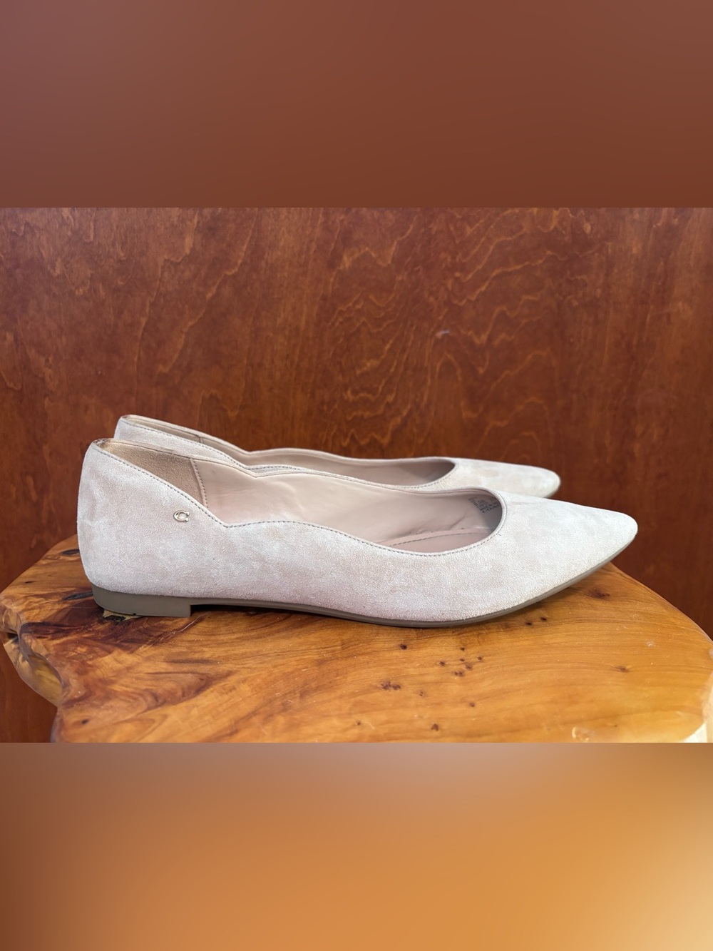 COACH Pointed Toe Suede Flats - Nude/Light Beige, GUC - Picture 5 of 14
